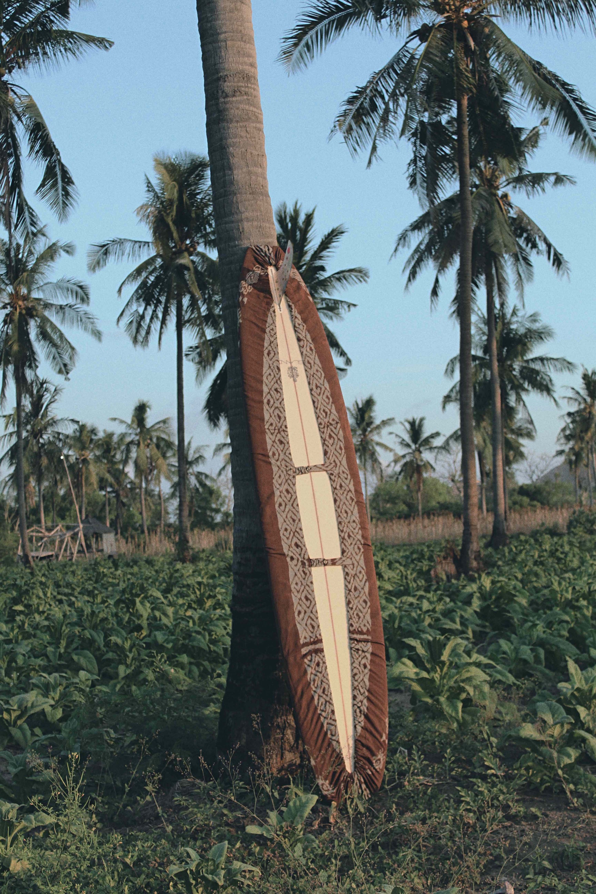 Solah Longboard Cover - Pre-order