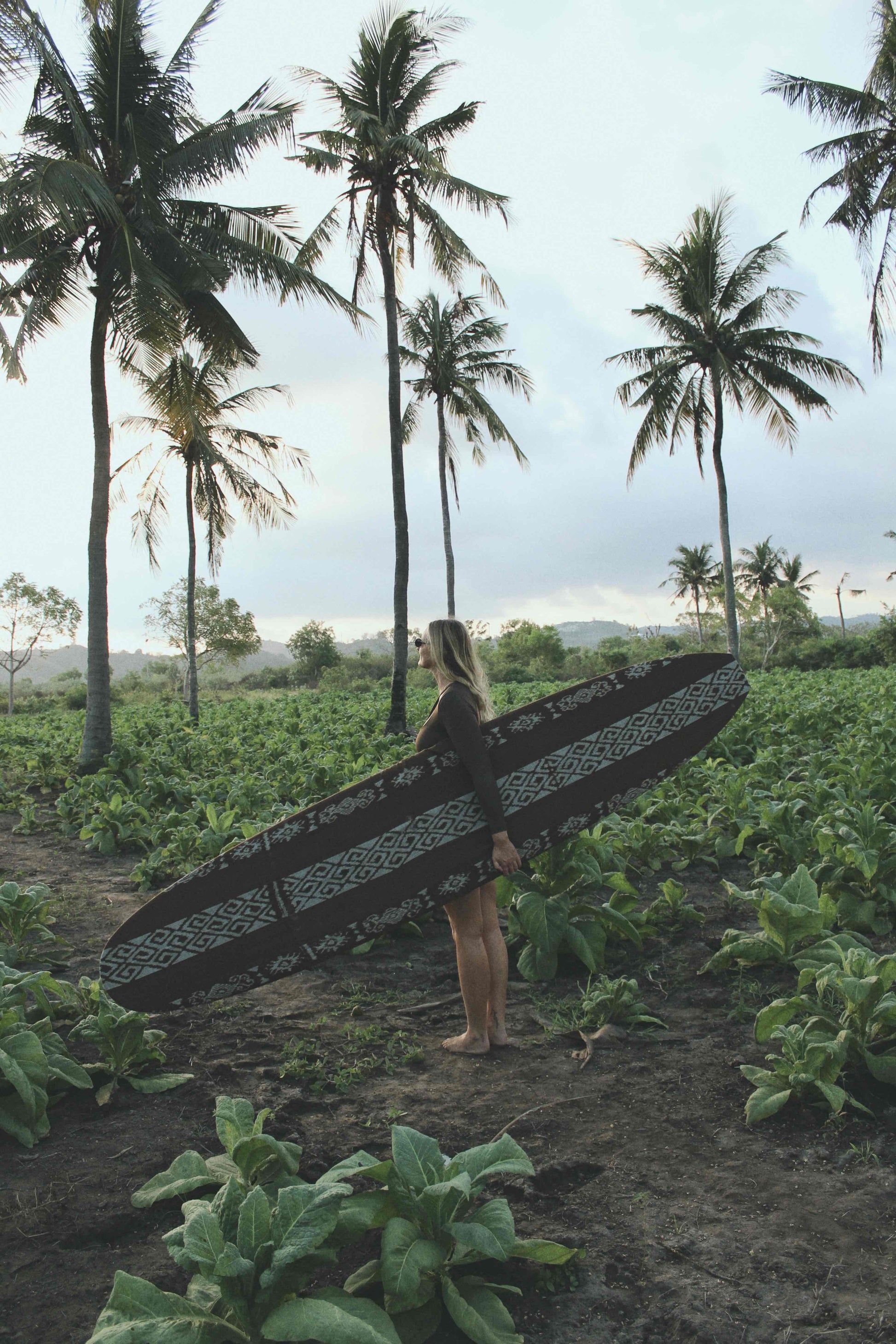 Solah Longboard Cover - Pre-order