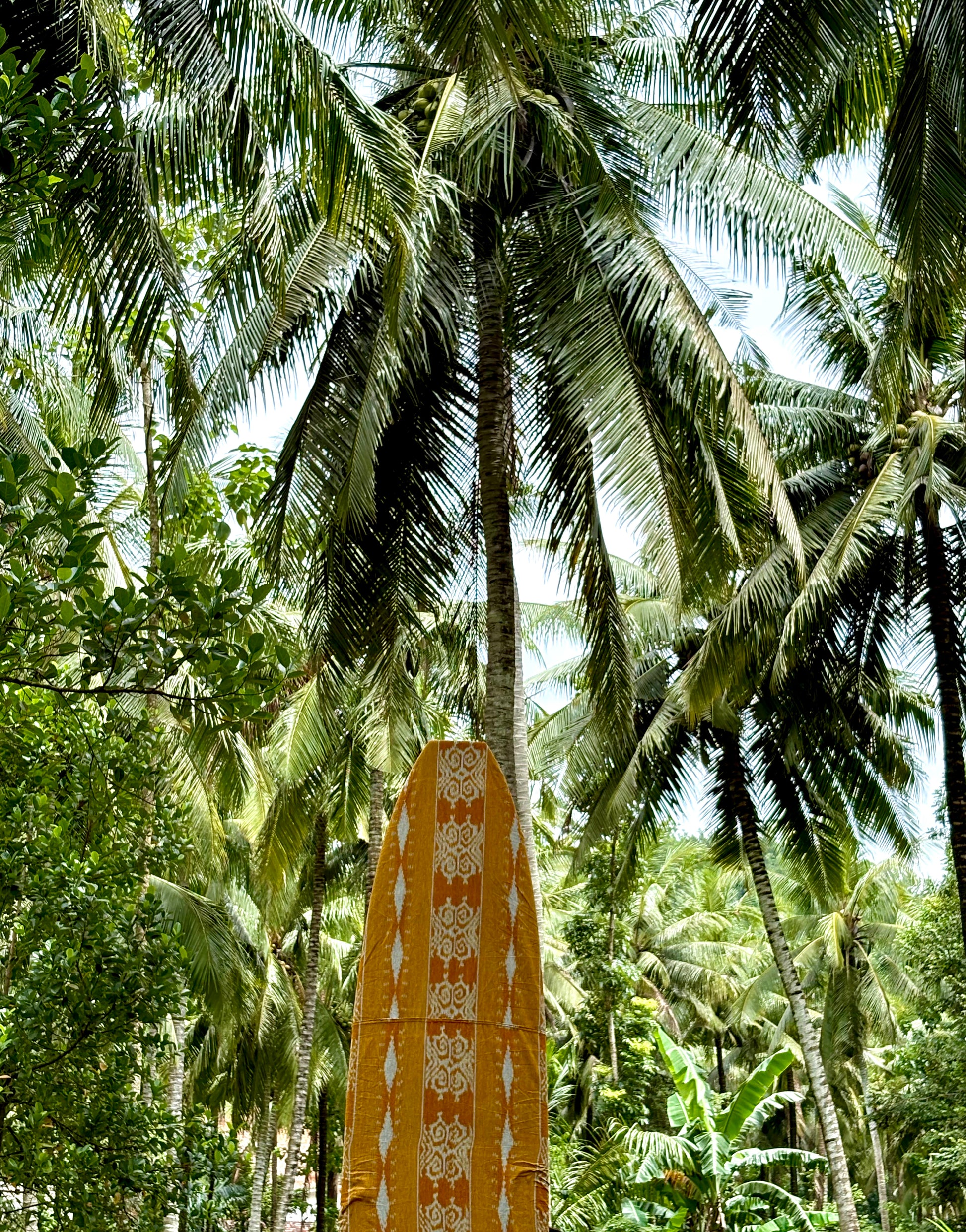 Solah Longboard Cover