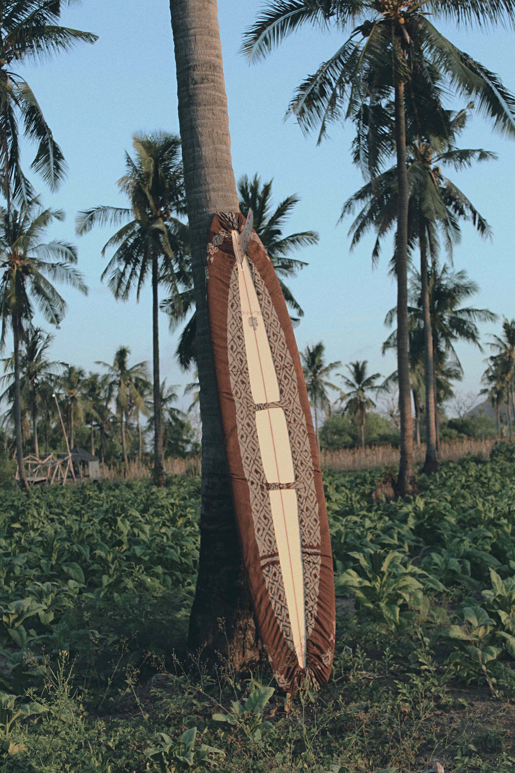 Solah Longboard Cover - Pre-order